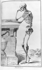 Vesalius