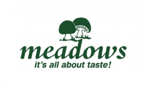 SetWidth285-NZSQ-Sponsor-Logo-Meadows-530x320