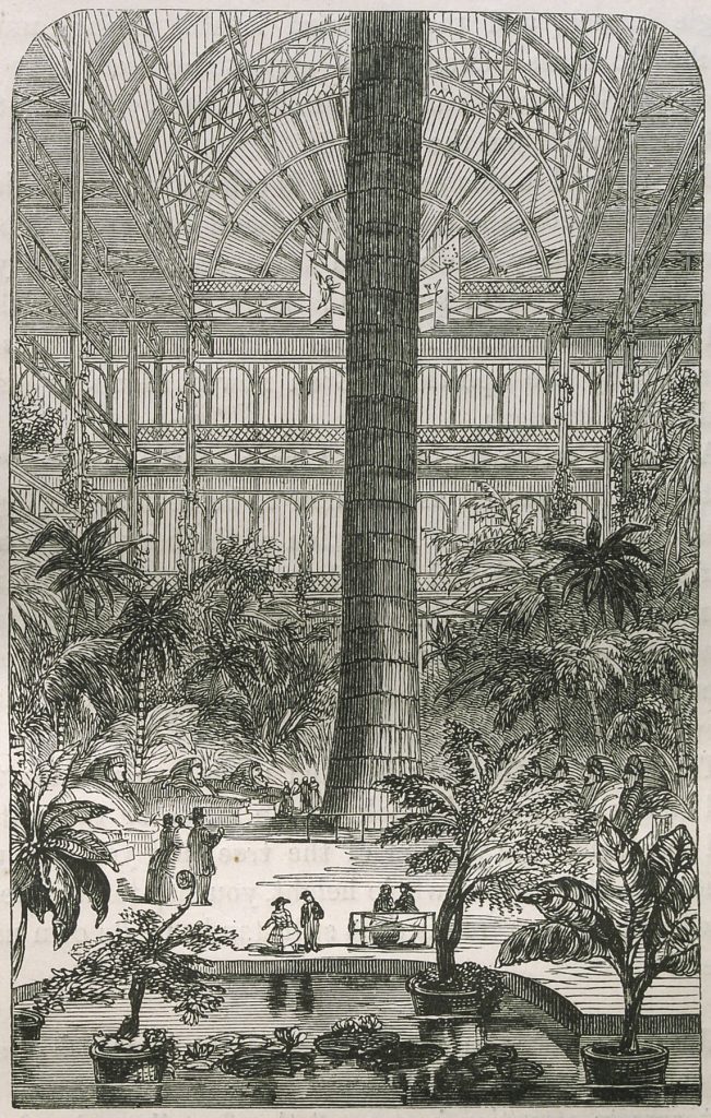 Historical illustrated image of large tree and plants growing inside architectural atrium.