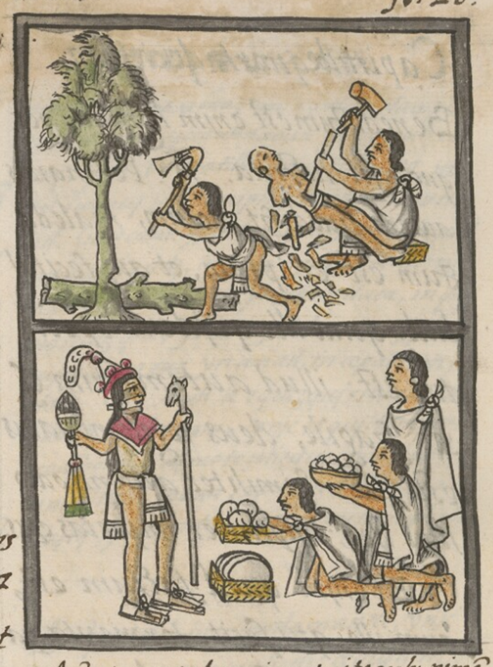 “Cuauhxinqueh” (wood carvers) and “Tlamana” (to make an offering), Book 1, Folio 26r, The Digital Florentine Codex