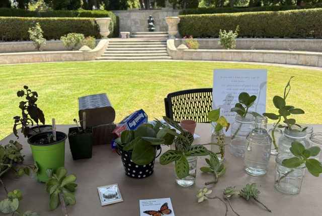 Cultivating Urban Greenery at the William Andrews Clark Memorial Library’s Nature and Garden Festival